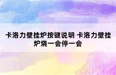 卡洛力壁挂炉按键说明 卡洛力壁挂炉烧一会停一会